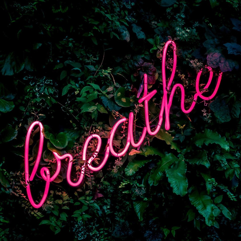 Meet your Posher, Maggie